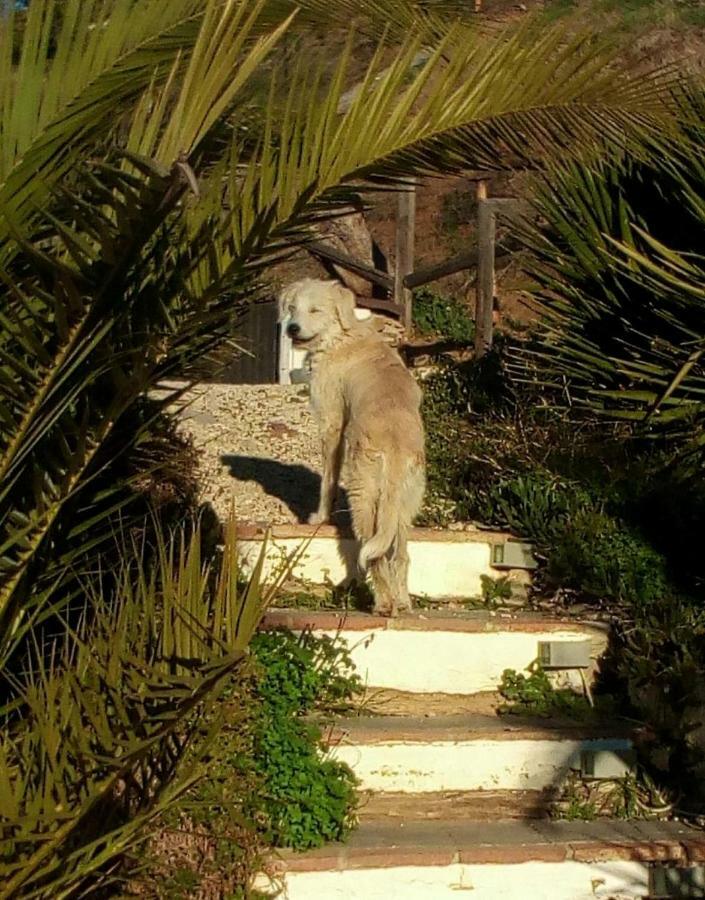 מלון Comares Casa Colina מראה חיצוני תמונה